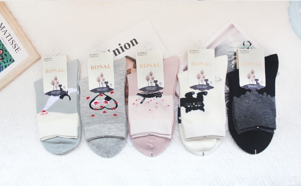 Носки женские тонкие “Ronal” №5012 котик (10 пар)