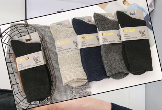 Носки мужские теплые “Syltan” №9825-5 собака (12 пар)