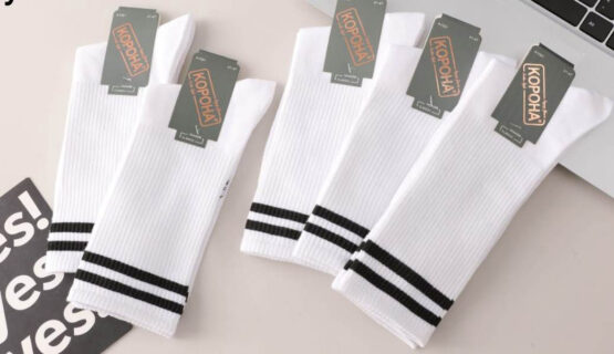 Носки мужские тонкие “Корона” №А1091 высокие с полоской (10 пар)