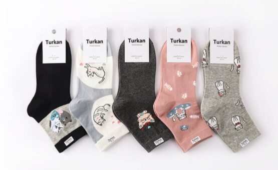 Носки женские тонкие “Turkan” №62551 коты (10 пар)