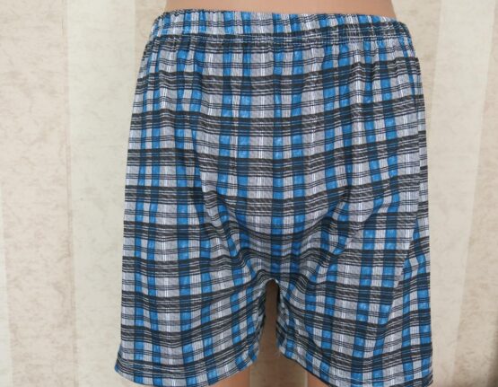 Трусы мужские “Дамиртекс” (48-72)