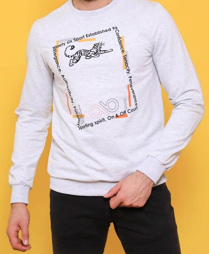 Футболка мужская “Samo” №М8904М (M-3XL) длинный рукав, принт